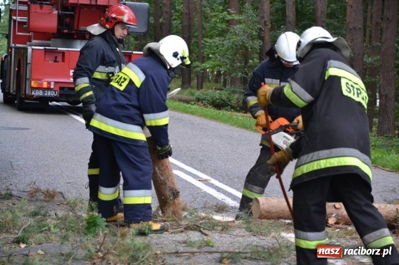 Zdjęcie w galerii na portalu naszraciborz.pl: Bezpieczniej na drodze wojewódzkiej 919, czyli akcja strażaków z Jankowic wiadomości z regionu