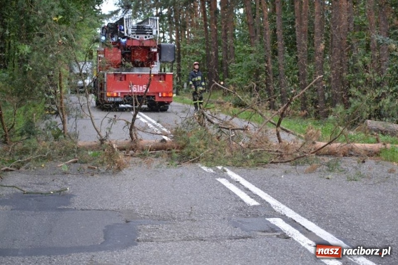 Zdjęcie w galerii na portalu naszraciborz.pl: Bezpieczniej na drodze wojewódzkiej 919, czyli akcja strażaków z Jankowic wiadomości z regionu