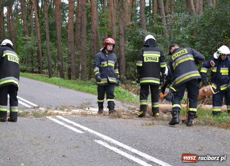 Zdjęcie w galerii na portalu naszraciborz.pl: Bezpieczniej na drodze wojewódzkiej 919, czyli akcja strażaków z Jankowic wiadomości z regionu