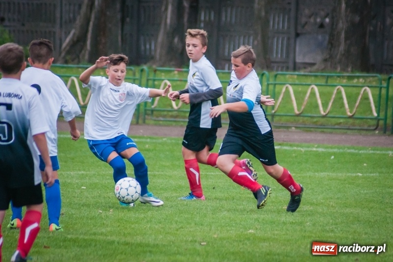 Zdjęcie w galerii na portalu naszraciborz.pl: Trampkarze Lubomi lepsi przy Wyszyńskiego wiadomości z regionu