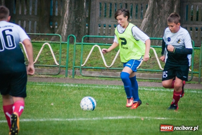 Zdjęcie w galerii na portalu naszraciborz.pl: Trampkarze Lubomi lepsi przy Wyszyńskiego wiadomości z regionu
