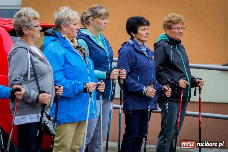 Zdjęcie w galerii na portalu naszraciborz.pl: Polsko-czeski jubileuszowy bieg na 10 km oraz chód Nordic Walking wiadomości z regionu