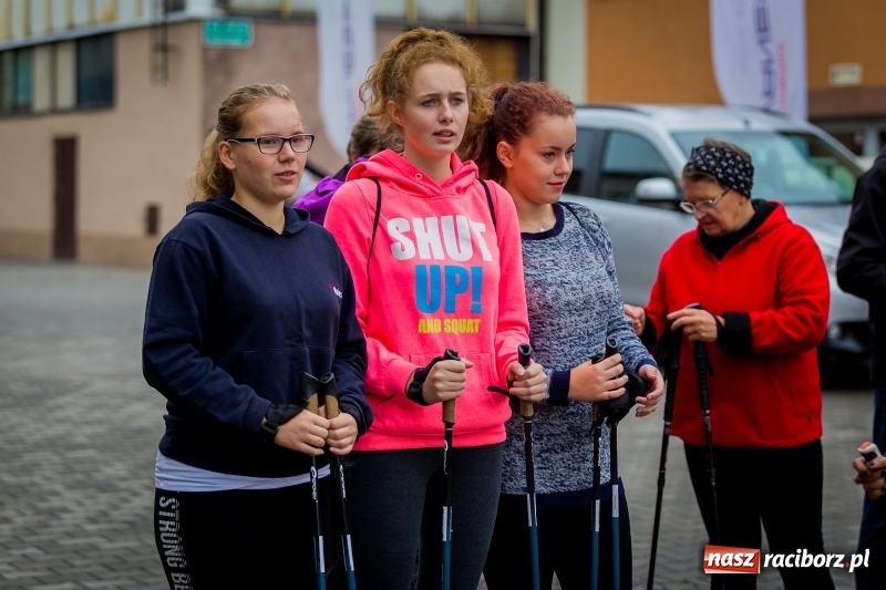 Zdjęcie w galerii na portalu naszraciborz.pl: Polsko-czeski jubileuszowy bieg na 10 km oraz chód Nordic Walking wiadomości z regionu