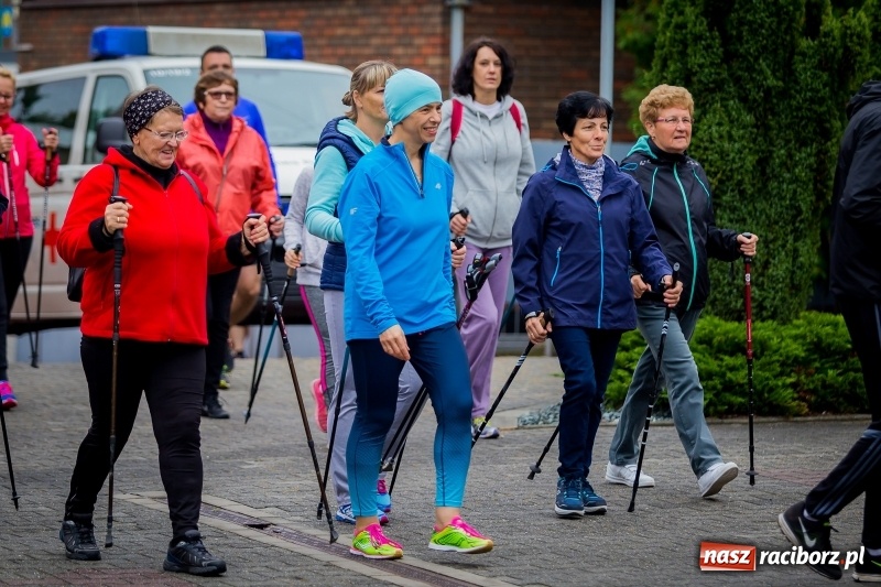 Zdjęcie w galerii na portalu naszraciborz.pl: Polsko-czeski jubileuszowy bieg na 10 km oraz chód Nordic Walking wiadomości z regionu