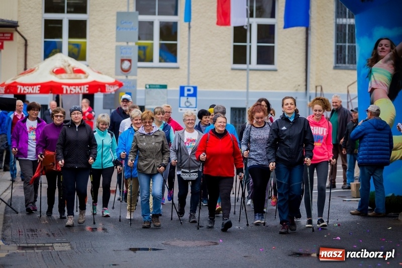 Zdjęcie w galerii na portalu naszraciborz.pl: Polsko-czeski jubileuszowy bieg na 10 km oraz chód Nordic Walking wiadomości z regionu
