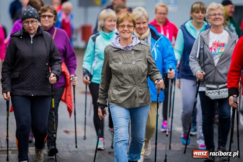 Zdjęcie w galerii na portalu naszraciborz.pl: Polsko-czeski jubileuszowy bieg na 10 km oraz chód Nordic Walking wiadomości z regionu