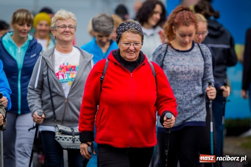 Zdjęcie w galerii na portalu naszraciborz.pl: Polsko-czeski jubileuszowy bieg na 10 km oraz chód Nordic Walking wiadomości z regionu