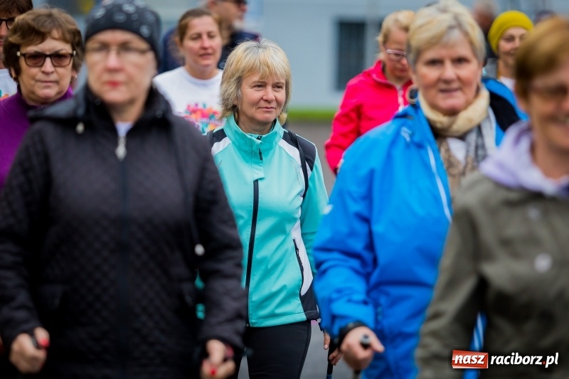 Zdjęcie w galerii na portalu naszraciborz.pl: Polsko-czeski jubileuszowy bieg na 10 km oraz chód Nordic Walking wiadomości z regionu
