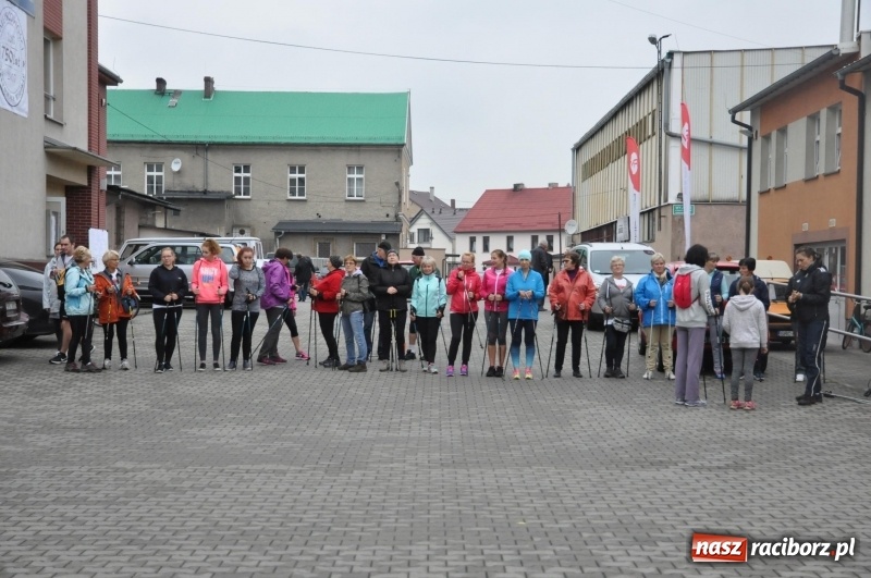 Zdjęcie w galerii na portalu naszraciborz.pl: Polsko-czeski jubileuszowy bieg na 10 km oraz chód Nordic Walking wiadomości z regionu