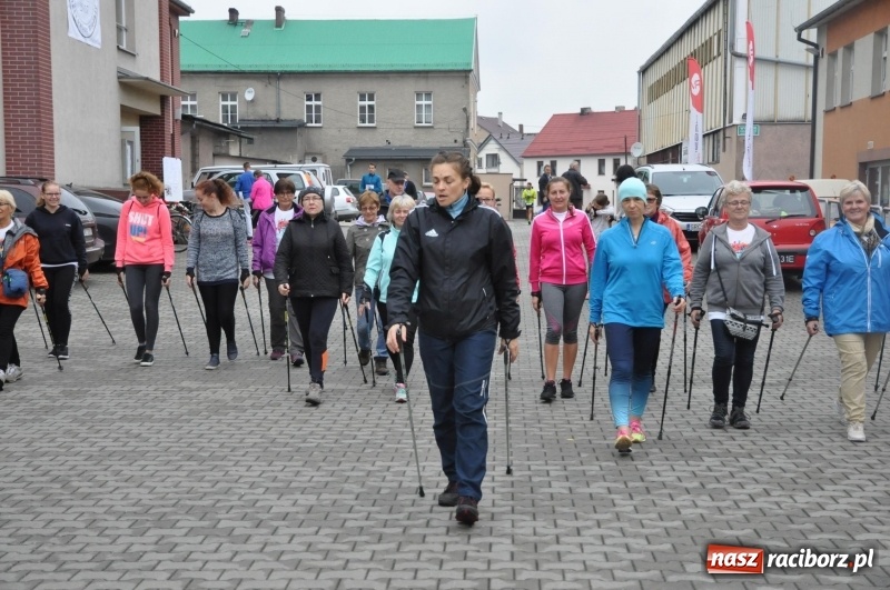 Zdjęcie w galerii na portalu naszraciborz.pl: Polsko-czeski jubileuszowy bieg na 10 km oraz chód Nordic Walking wiadomości z regionu