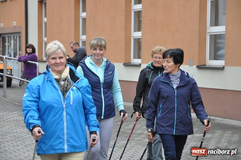 Zdjęcie w galerii na portalu naszraciborz.pl: Polsko-czeski jubileuszowy bieg na 10 km oraz chód Nordic Walking wiadomości z regionu