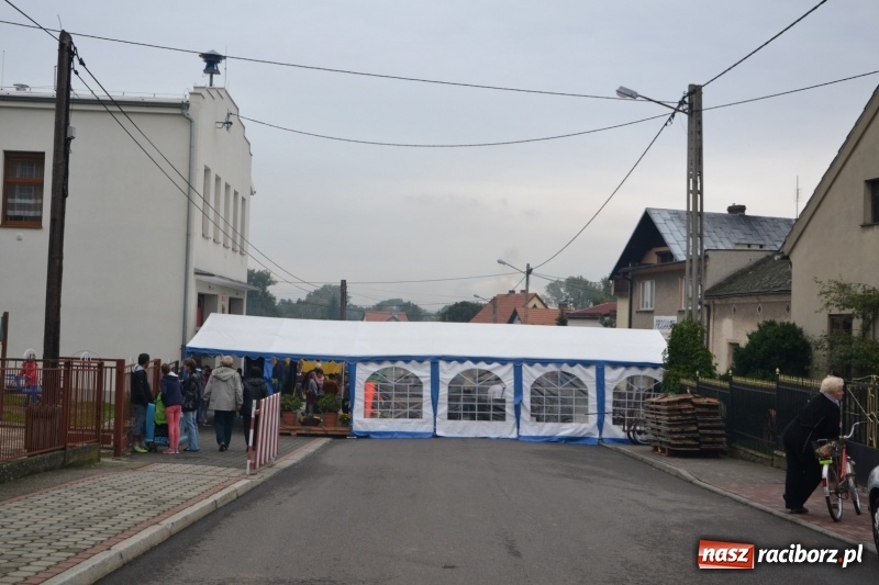 Zdjęcie w galerii na portalu naszraciborz.pl: Kartoffelfest w Bolesławiu na bawarską nutę  wiadomości z regionu