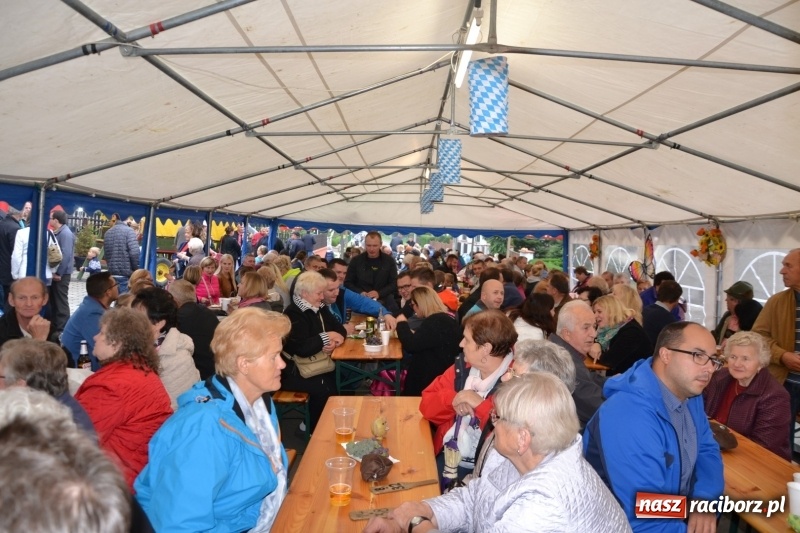 Zdjęcie w galerii na portalu naszraciborz.pl: Kartoffelfest w Bolesławiu na bawarską nutę  wiadomości z regionu