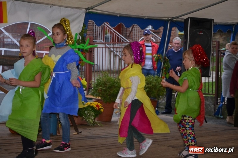 Zdjęcie w galerii na portalu naszraciborz.pl: Kartoffelfest w Bolesławiu na bawarską nutę  wiadomości z regionu