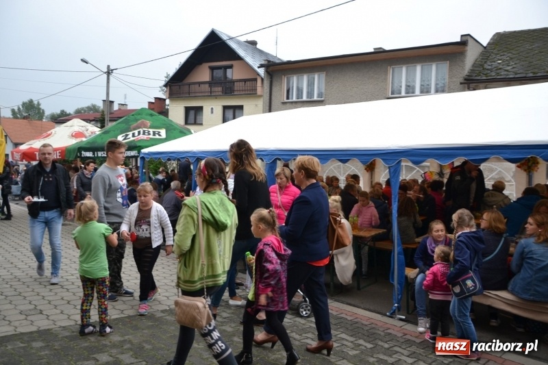 Zdjęcie w galerii na portalu naszraciborz.pl: Kartoffelfest w Bolesławiu na bawarską nutę  wiadomości z regionu