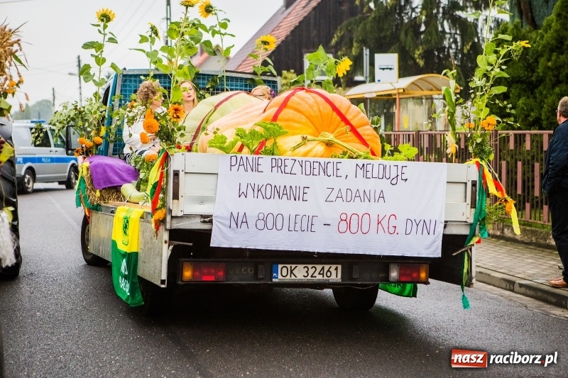 Zdjęcie w galerii na portalu naszraciborz.pl: Dożynki miejskie Raciborza. 800 kilogramów dyni na 800 lat Raciborza wiadomości z regionu