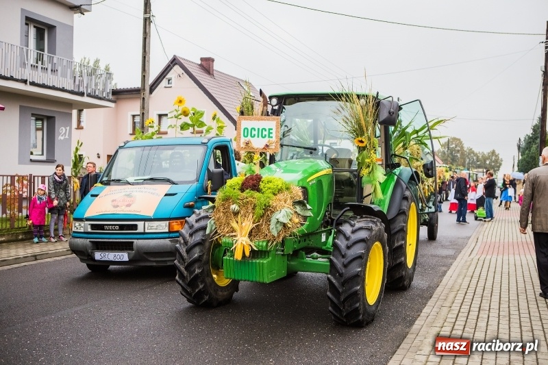 Zdjęcie w galerii na portalu naszraciborz.pl: Dożynki miejskie Raciborza. 800 kilogramów dyni na 800 lat Raciborza wiadomości z regionu