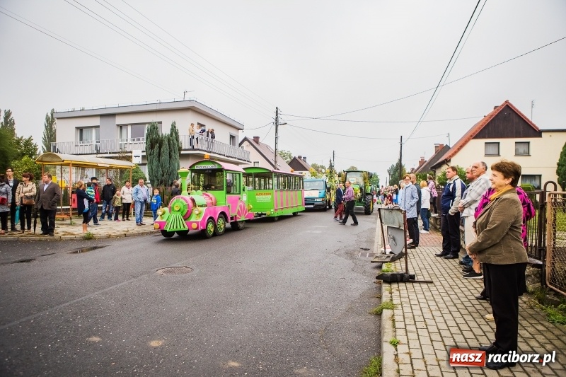 Zdjęcie w galerii na portalu naszraciborz.pl: Dożynki miejskie Raciborza. 800 kilogramów dyni na 800 lat Raciborza wiadomości z regionu