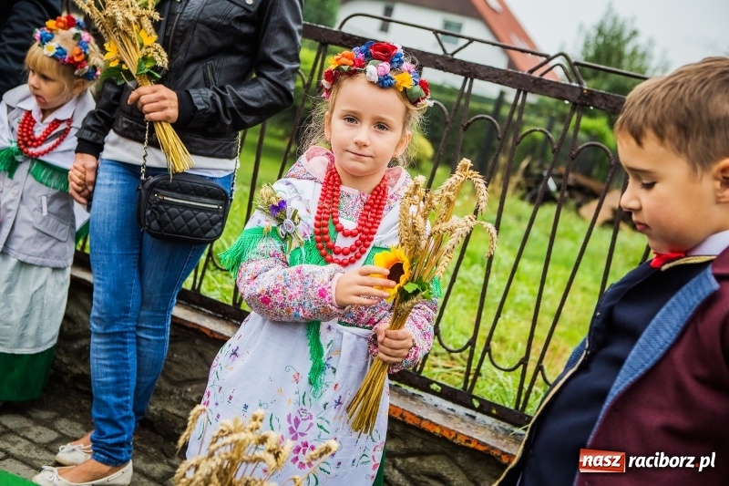 Zdjęcie w galerii na portalu naszraciborz.pl: Dożynki miejskie Raciborza. 800 kilogramów dyni na 800 lat Raciborza wiadomości z regionu