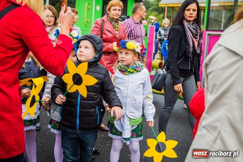 Zdjęcie w galerii na portalu naszraciborz.pl: Dożynki miejskie Raciborza. 800 kilogramów dyni na 800 lat Raciborza wiadomości z regionu