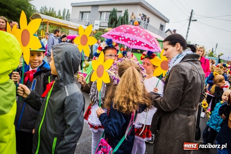 Zdjęcie w galerii na portalu naszraciborz.pl: Dożynki miejskie Raciborza. 800 kilogramów dyni na 800 lat Raciborza wiadomości z regionu