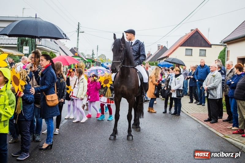 Zdjęcie w galerii na portalu naszraciborz.pl: Dożynki miejskie Raciborza. 800 kilogramów dyni na 800 lat Raciborza wiadomości z regionu