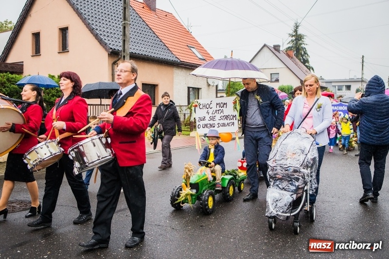 Zdjęcie w galerii na portalu naszraciborz.pl: Dożynki miejskie Raciborza. 800 kilogramów dyni na 800 lat Raciborza wiadomości z regionu