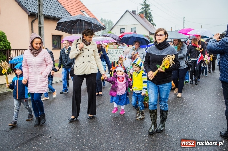 Zdjęcie w galerii na portalu naszraciborz.pl: Dożynki miejskie Raciborza. 800 kilogramów dyni na 800 lat Raciborza wiadomości z regionu