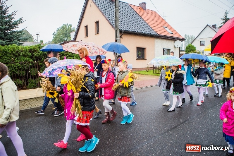 Zdjęcie w galerii na portalu naszraciborz.pl: Dożynki miejskie Raciborza. 800 kilogramów dyni na 800 lat Raciborza wiadomości z regionu
