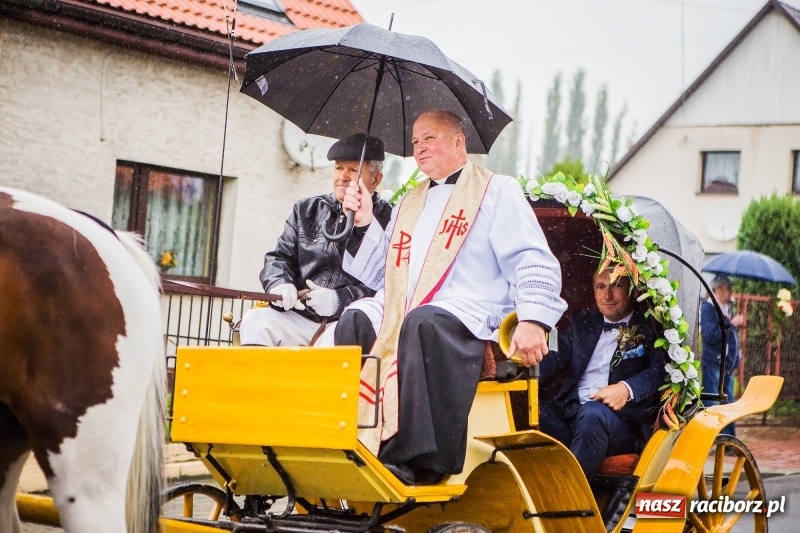 Zdjęcie w galerii na portalu naszraciborz.pl: Dożynki miejskie Raciborza. 800 kilogramów dyni na 800 lat Raciborza wiadomości z regionu