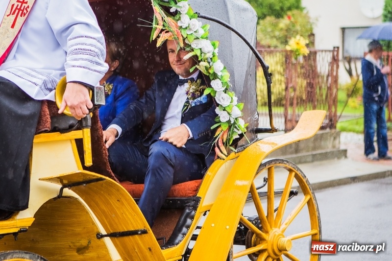 Zdjęcie w galerii na portalu naszraciborz.pl: Dożynki miejskie Raciborza. 800 kilogramów dyni na 800 lat Raciborza wiadomości z regionu