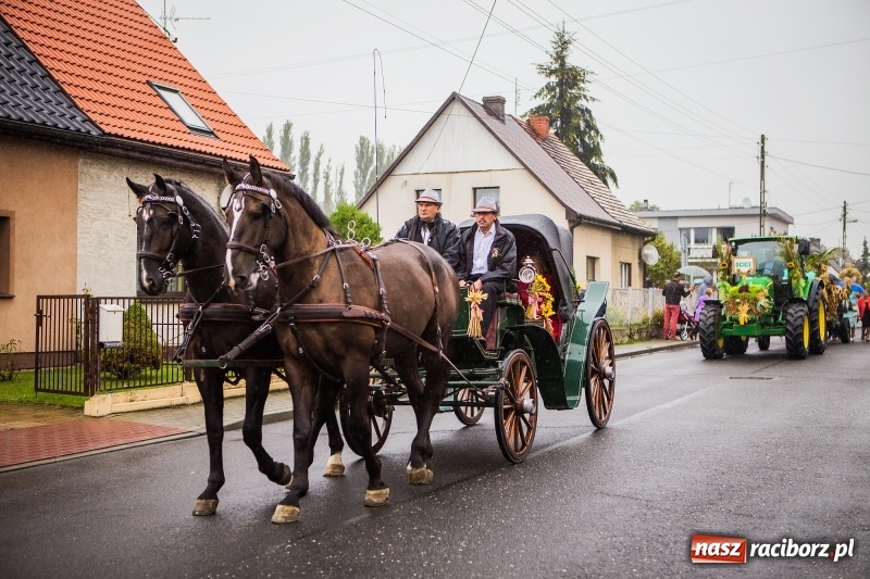 Zdjęcie w galerii na portalu naszraciborz.pl: Dożynki miejskie Raciborza. 800 kilogramów dyni na 800 lat Raciborza wiadomości z regionu