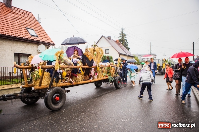 Zdjęcie w galerii na portalu naszraciborz.pl: Dożynki miejskie Raciborza. 800 kilogramów dyni na 800 lat Raciborza wiadomości z regionu