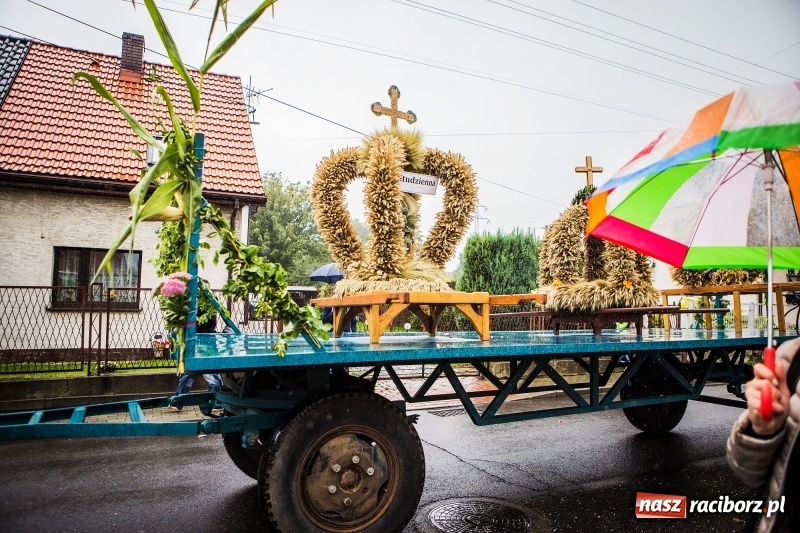 Zdjęcie w galerii na portalu naszraciborz.pl: Dożynki miejskie Raciborza. 800 kilogramów dyni na 800 lat Raciborza wiadomości z regionu