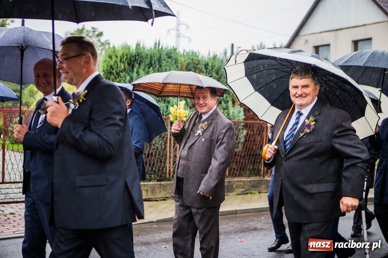 Zdjęcie w galerii na portalu naszraciborz.pl: Dożynki miejskie Raciborza. 800 kilogramów dyni na 800 lat Raciborza wiadomości z regionu