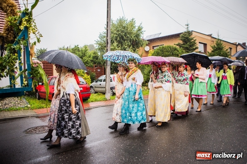 Zdjęcie w galerii na portalu naszraciborz.pl: Dożynki miejskie Raciborza. 800 kilogramów dyni na 800 lat Raciborza wiadomości z regionu