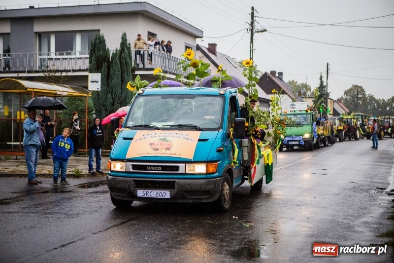 Zdjęcie w galerii na portalu naszraciborz.pl: Dożynki miejskie Raciborza. 800 kilogramów dyni na 800 lat Raciborza wiadomości z regionu
