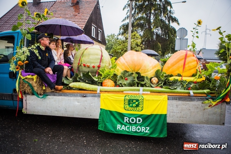 Zdjęcie w galerii na portalu naszraciborz.pl: Dożynki miejskie Raciborza. 800 kilogramów dyni na 800 lat Raciborza wiadomości z regionu