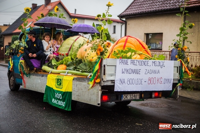 Zdjęcie w galerii na portalu naszraciborz.pl: Dożynki miejskie Raciborza. 800 kilogramów dyni na 800 lat Raciborza wiadomości z regionu