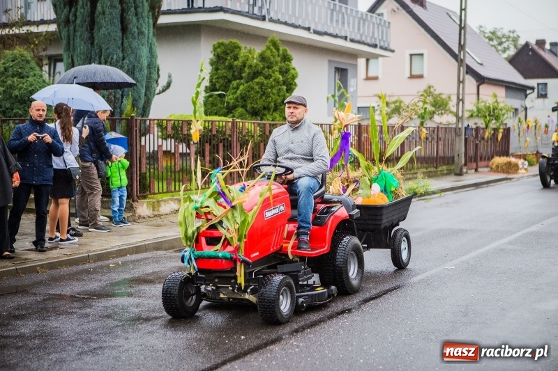 Zdjęcie w galerii na portalu naszraciborz.pl: Dożynki miejskie Raciborza. 800 kilogramów dyni na 800 lat Raciborza wiadomości z regionu