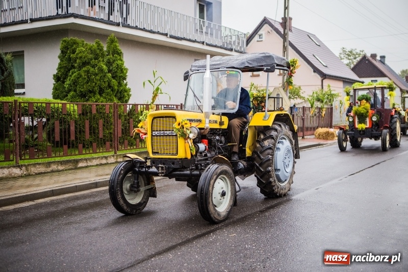 Zdjęcie w galerii na portalu naszraciborz.pl: Dożynki miejskie Raciborza. 800 kilogramów dyni na 800 lat Raciborza wiadomości z regionu