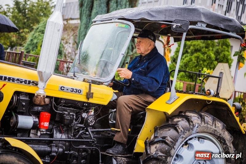 Zdjęcie w galerii na portalu naszraciborz.pl: Dożynki miejskie Raciborza. 800 kilogramów dyni na 800 lat Raciborza wiadomości z regionu