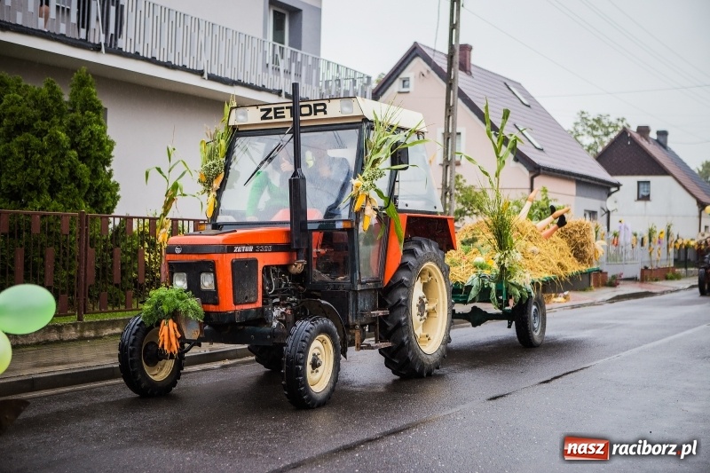 Zdjęcie w galerii na portalu naszraciborz.pl: Dożynki miejskie Raciborza. 800 kilogramów dyni na 800 lat Raciborza wiadomości z regionu
