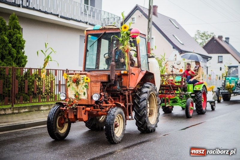 Zdjęcie w galerii na portalu naszraciborz.pl: Dożynki miejskie Raciborza. 800 kilogramów dyni na 800 lat Raciborza wiadomości z regionu