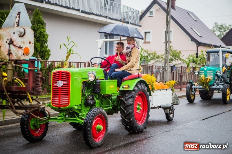 Zdjęcie w galerii na portalu naszraciborz.pl: Dożynki miejskie Raciborza. 800 kilogramów dyni na 800 lat Raciborza wiadomości z regionu