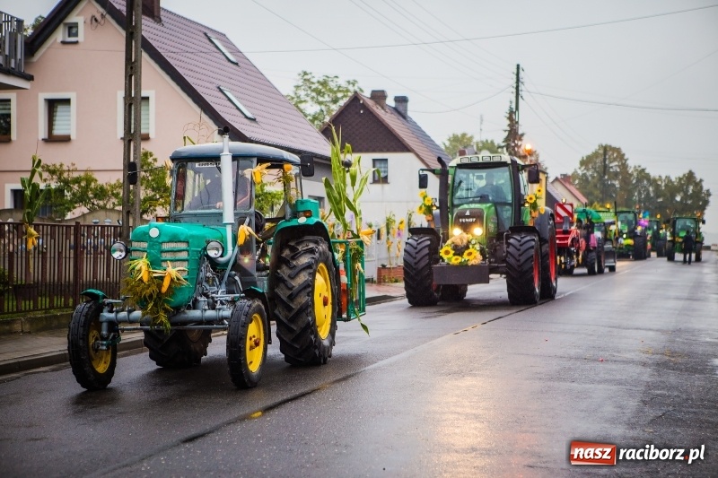 Zdjęcie w galerii na portalu naszraciborz.pl: Dożynki miejskie Raciborza. 800 kilogramów dyni na 800 lat Raciborza wiadomości z regionu