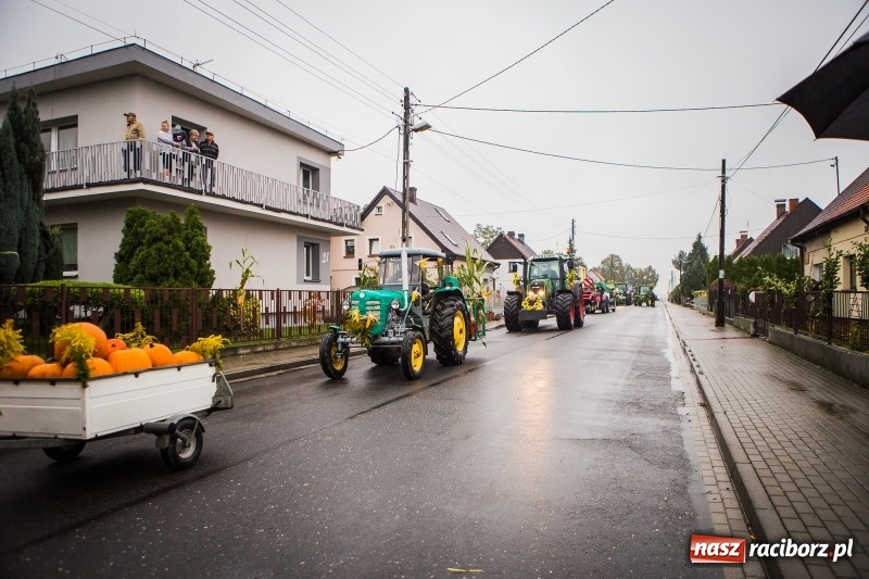 Zdjęcie w galerii na portalu naszraciborz.pl: Dożynki miejskie Raciborza. 800 kilogramów dyni na 800 lat Raciborza wiadomości z regionu