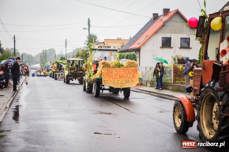 Zdjęcie w galerii na portalu naszraciborz.pl: Dożynki miejskie Raciborza. 800 kilogramów dyni na 800 lat Raciborza wiadomości z regionu