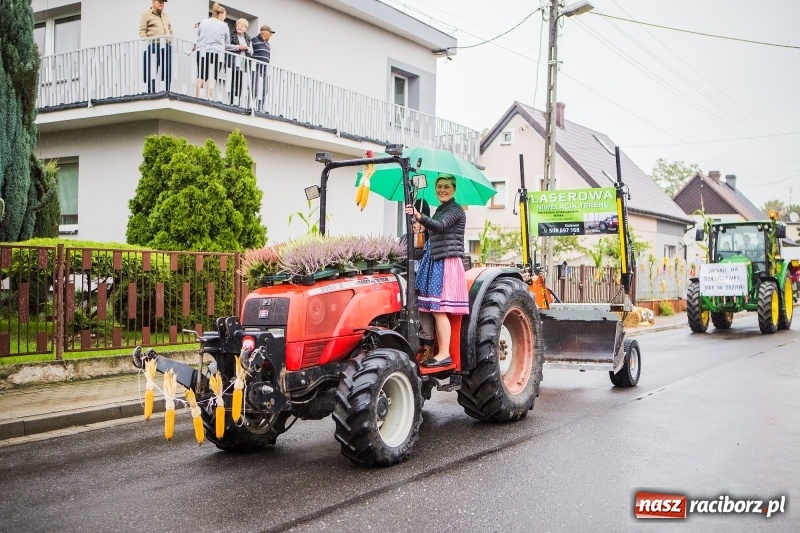 Zdjęcie w galerii na portalu naszraciborz.pl: Dożynki miejskie Raciborza. 800 kilogramów dyni na 800 lat Raciborza wiadomości z regionu