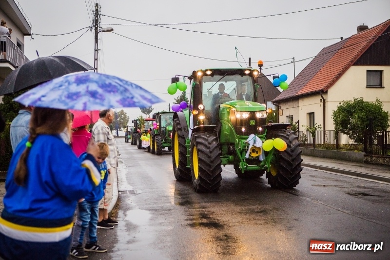 Zdjęcie w galerii na portalu naszraciborz.pl: Dożynki miejskie Raciborza. 800 kilogramów dyni na 800 lat Raciborza wiadomości z regionu